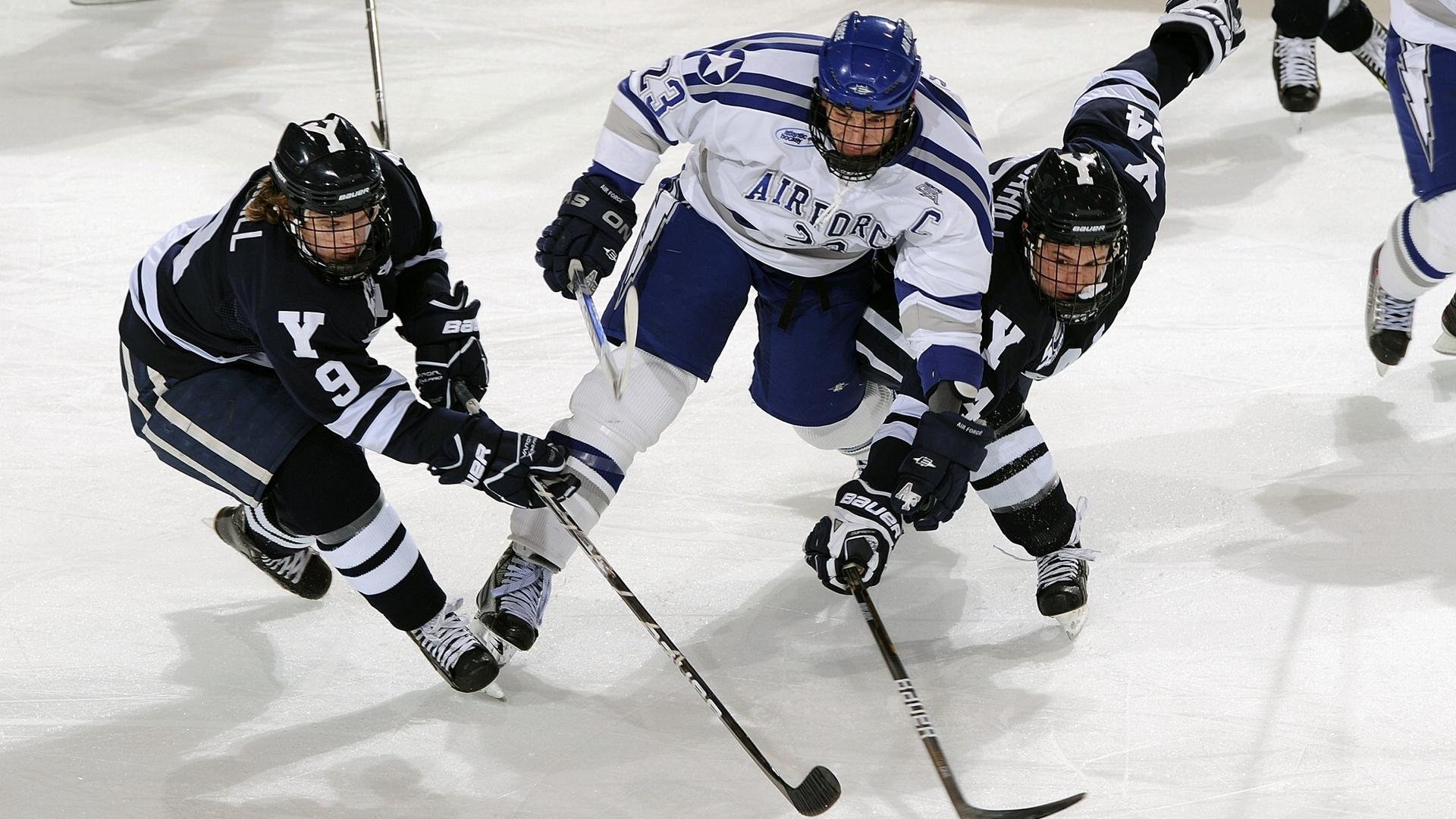 独特粉丝文化：不同国家的狂热展现
